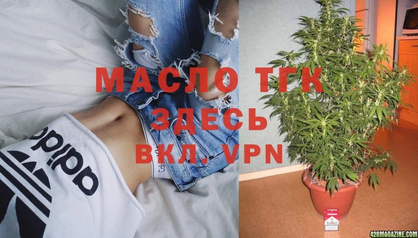 стафф Данков