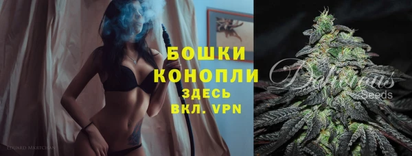 эйфоретик Гвардейск