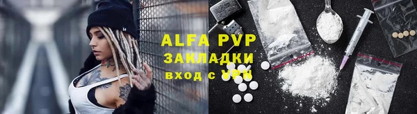 прущие грибы Пестово