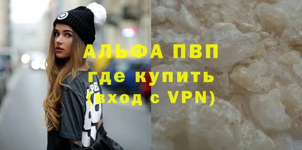 прущие грибы Пестово