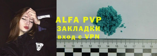 прущие грибы Пестово