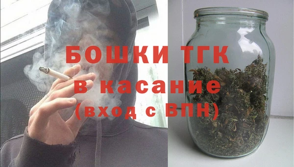 прущие грибы Пестово