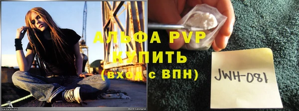 прущие грибы Пестово