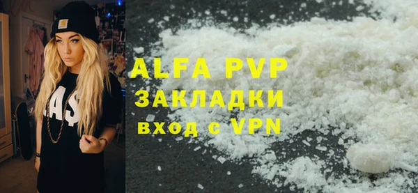 стафф Данков