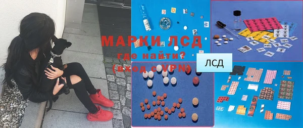 прущие грибы Пестово